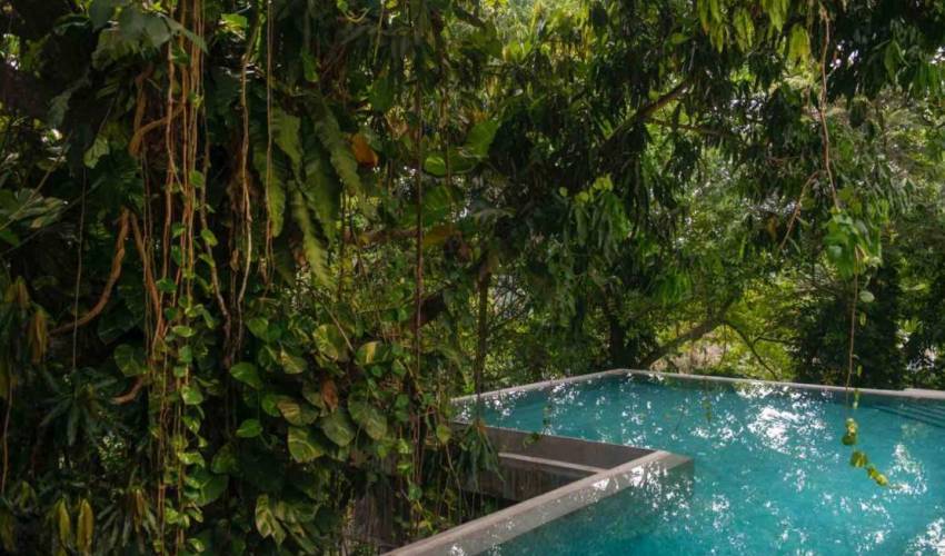 Villa 13206 in Sri Lanka Main Image